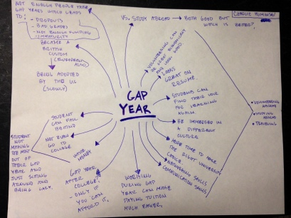 Gap Year Diagram-Blog Post
